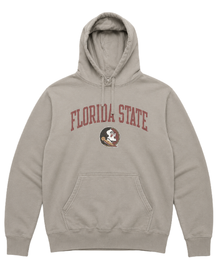 Florida State Graphic Hoodie